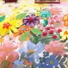 DB17254 DREAMS BLOSSOM - Image 13